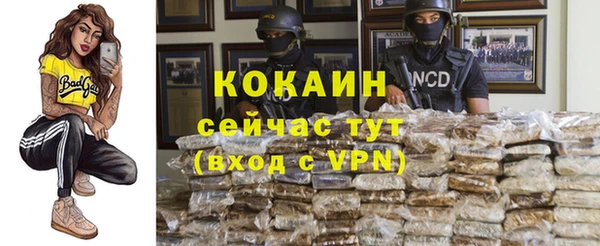 шишки Инта