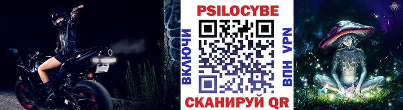 Псилоцибиновые грибы мицелий  Бакал 